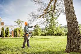 Best Tree Maintenance Programs  in Shougal, WA