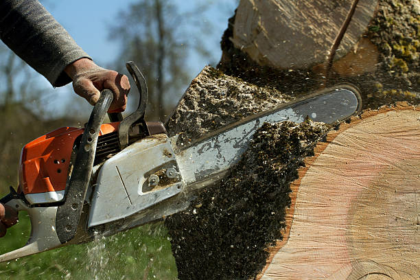 Lawn Grading and Leveling in Washougal, WA